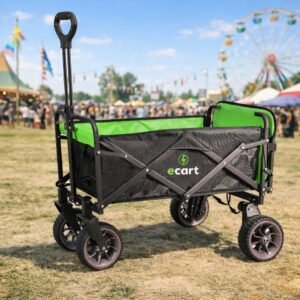 E-cart Departure for 01 Hours