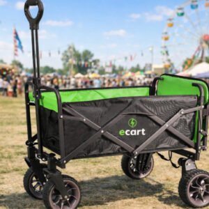 E-cart Hourly Hire 30 Minutes